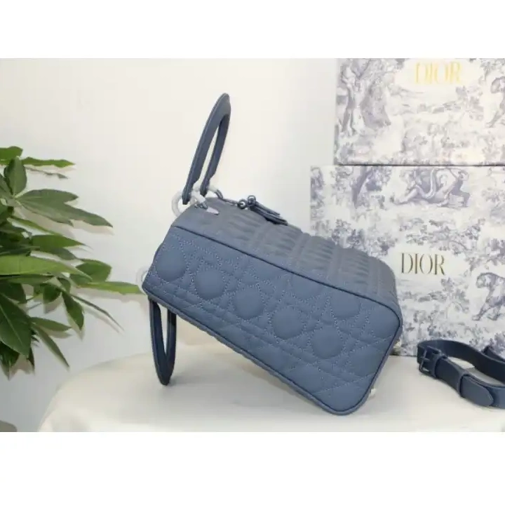 Fashion Reps Bags 2012SH0097 Dio 0504